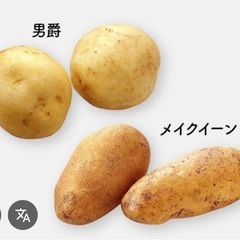 じゃがいも　1袋100円