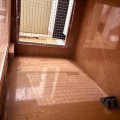 爬虫類　ケージ　の画像
