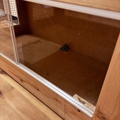 爬虫類　ケージ　の画像