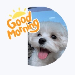ペットのLINEスタンプ作成します‼️