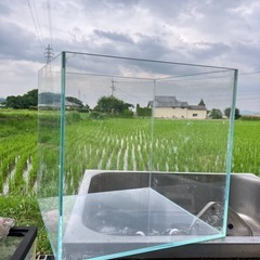 水槽・台　セットの画像