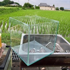水槽・台　セットの画像