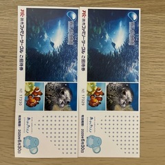 新江ノ島水族館のご招待券2枚