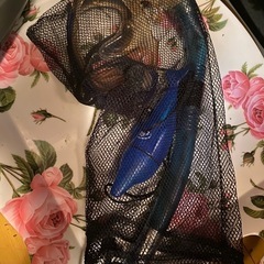 シュノーケルセットの画像