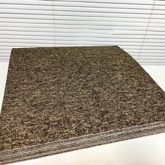 【10枚】防炎　フロアカーペット PX-3000S 3010 5...