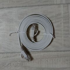 新品LANケーブル 1.5m cat6A カテゴリ6A　フラット形状
