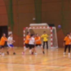 女性同士でハンドボールをしたい方！