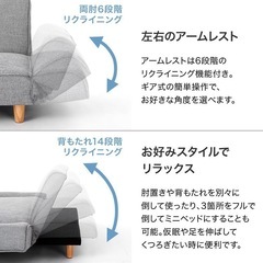 【受け渡し予定決定済】LOWYA　2人掛けソファ、ミニソファベッドの画像