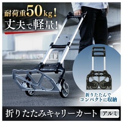 ハンドキャリーの画像