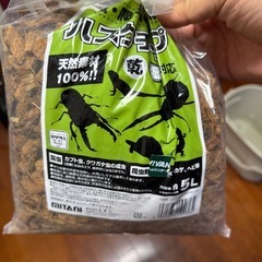 爬虫類の育ケースと床材