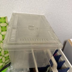 爬虫類の育ケースと床材の画像