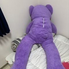 くま ぬいぐるみの画像