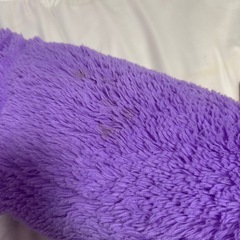 くま ぬいぐるみの画像