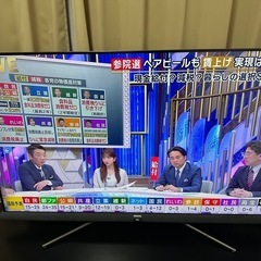 TCL 55インチ液晶テレビ　2019年製