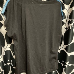 【断捨離】レディースLサイズ⭐️夏の風景Tシャツの画像