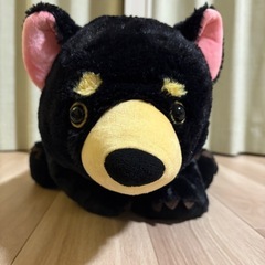 タスマニアデビル