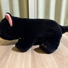 タスマニアデビルの画像