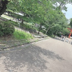 🍉🩵浜松城公園お散歩部　仲間募集🚶‍♀️🚶
