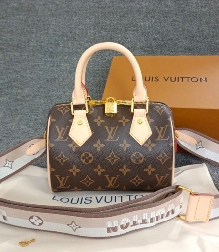 売り切れました）LOUIS VUITTON ルイヴィトン スピーディ 20