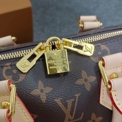 　（売り切れました）LOUIS VUITTON ルイヴィトン スピーディ 20 ハンドバッグの画像