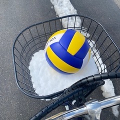 豊洲近辺でバレーボールできる場所探してます。