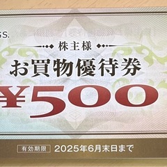ヤマダ電機　株主優待券（期限2025年6月30日まで）　