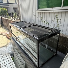 爬虫類ケージまとめ売り
の画像