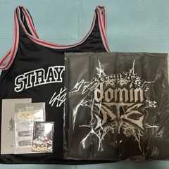 Stray Kids スキズ アプグレグッズ
