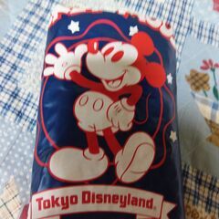 ミッキーのカッパ