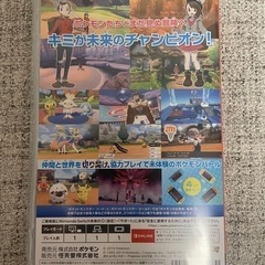 ポケットモンスターソードの画像