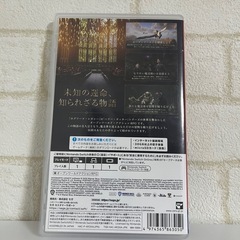 ホグワーツレガシーの画像