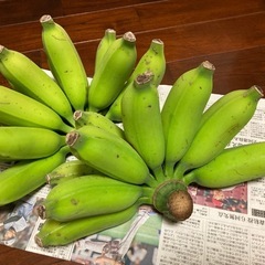 ≪ジャスミン香る季節！≫、うめーしナナ、2.4kg、沖縄南部産