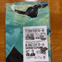 ガンバ大阪 GAMBA SONIC 2025 Tシャツの画像