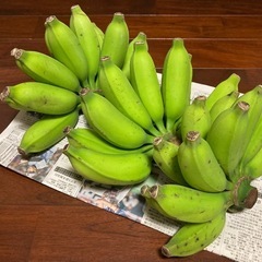 ≪月下美人が夜に開花！≫、ぐぁんすーナナ、2.8kg、沖縄南部産