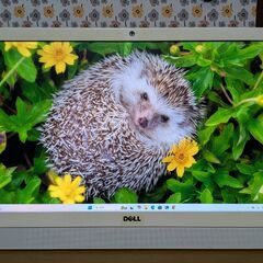 🐸一体型PC🌟大画面24ｲﾝﾁ🌟DELL🌟Inspiron3459🌟白🌟Corei5🌟Win11🌟Office2021🌟すぐに使えるSETの画像