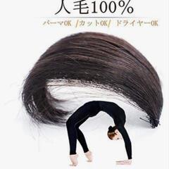 新品未使用！Remeehi 人毛 ウィッグ アイロン可能 20cmの画像