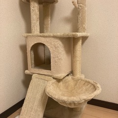もらってください!!キャットタワー