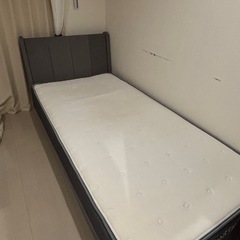 ‼️2023年購入ニトリベット×マットレス‼️
