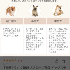 ペット用スロープ  階段の画像