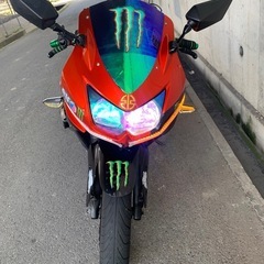  バイク 250  カワサキ ニンジャ　モンスター使用、期間限定...