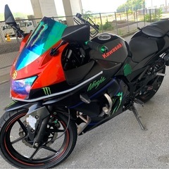  バイク 250  カワサキ ニンジャ　モンスター使用、期間限定。希少 ナンバーKawasaki　ninja 250r バイク の画像