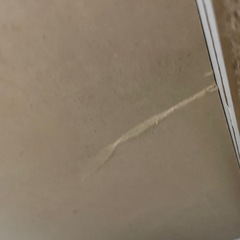 ディズニーゴミ箱カウンターの画像