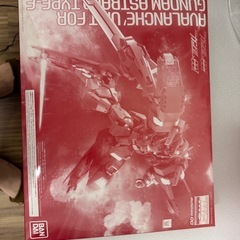 MGガンダムアストレアタイプF セット