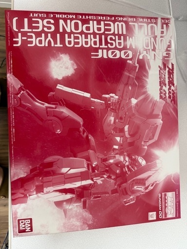 MGガンダムアストレアタイプF セット