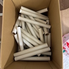 白いわんぱくジムの画像