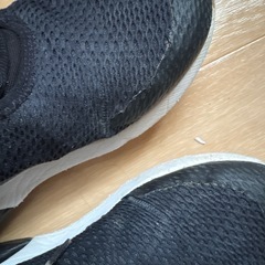 NIKE AIR 22センチの画像