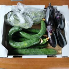 訳あり野菜3種