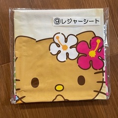 日焼けキティーちゃんの画像