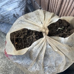 残土　庭土をお譲りします！の画像