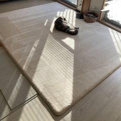 ラグ　低反発　200×250 厚さ32mm